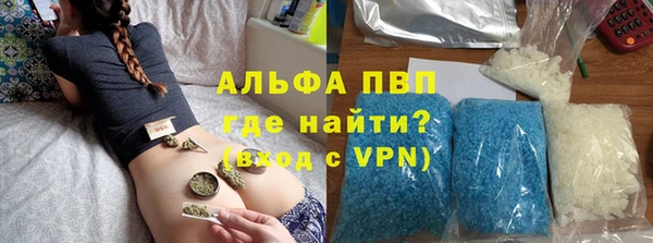 стаф Осташков